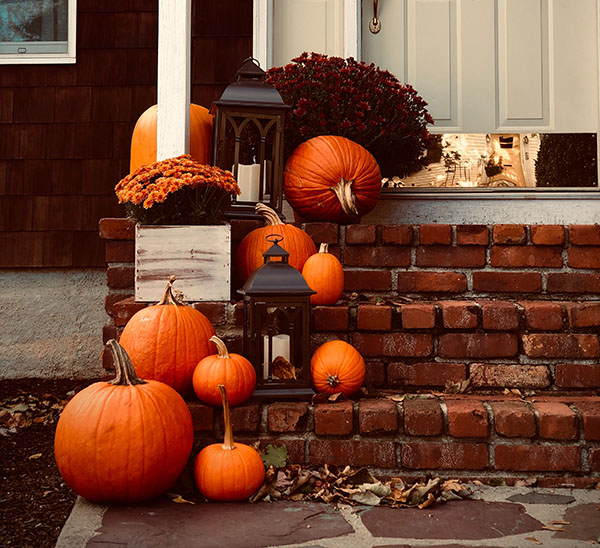 erica-marsland-huynh-DLxOLOQPNAc-unsplash